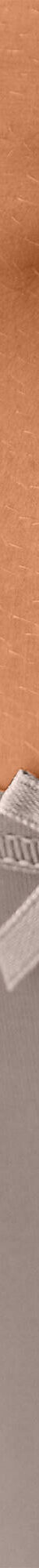 Culotte microfibre forme maxi   – Lot de 2 (taupe) Culotte microfibre forme maxi   – Lot de 2 (taupe)
